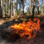 fire outdoor fire San Jose de los Amdrades and Mazamitla Jalisco