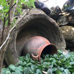 pot pot San Jose de los Amdrades and Mazamitla Jalisco