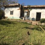 chicken chicken San Jose de los Amdrades and Mazamitla Jalisco